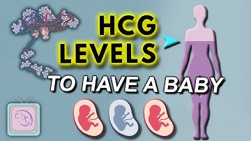hCG levels in early pregnancy -  Does hCG have to double in 2 days?