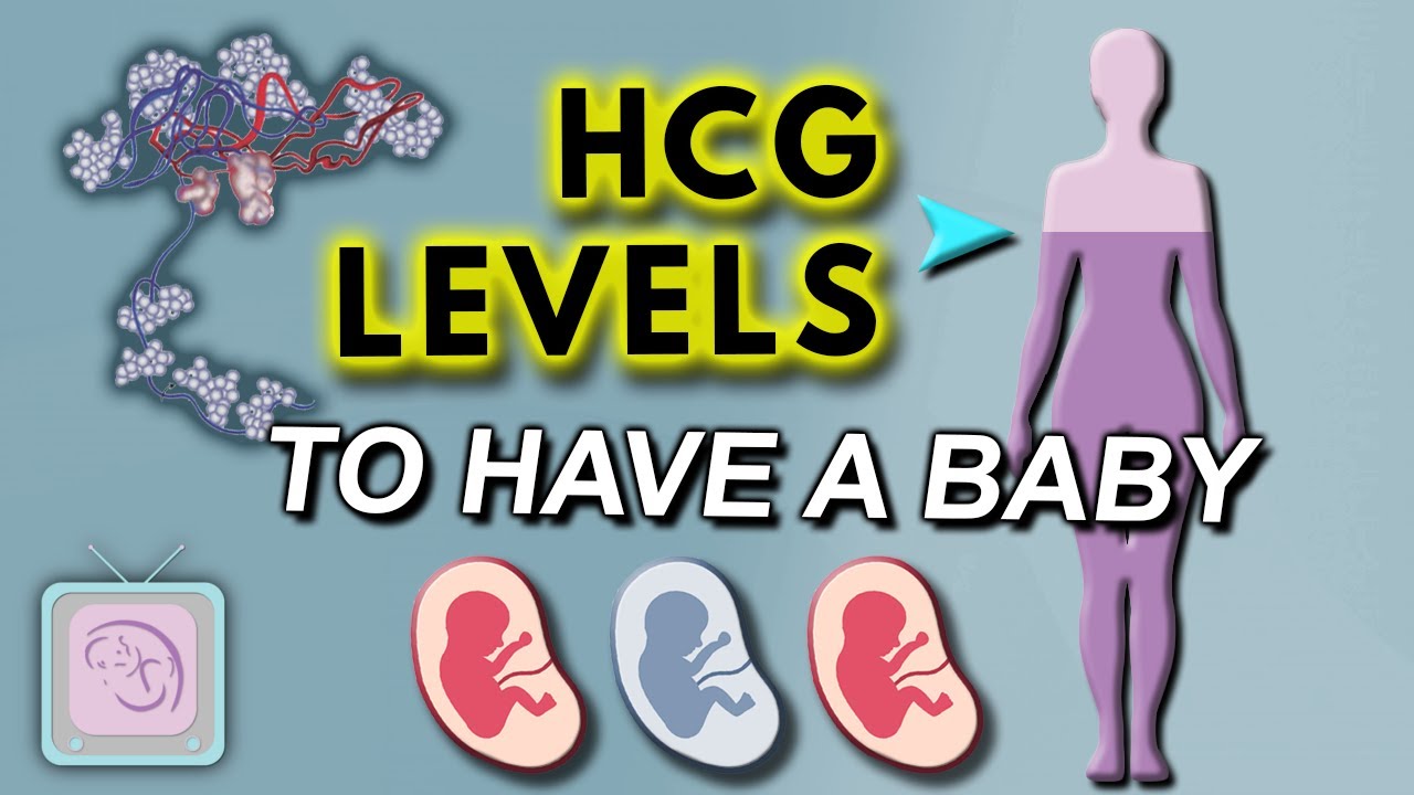 How Long Is Hcg Good For In The Fridge