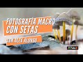 Fotografía Macro con setas, con Álex Alonso