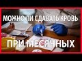 Можно ли сдавать кровь во время месячных: полезные советы