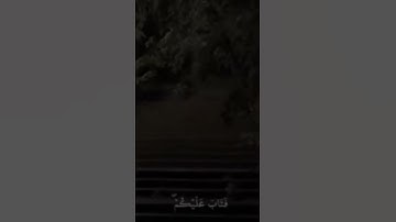 وَاللَّهُ يُقَدِّرُ اللَّيْلَ وَالنَّهَارَ | القارئ عبدالرحمن مسعد