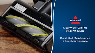 Brush Roll & Foot Maintenance | Cleanview® XR Pet Stick Vacuum