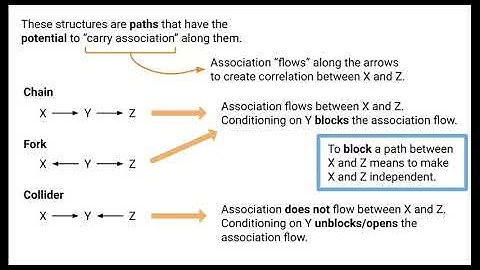 Causal and Noncausal Paths