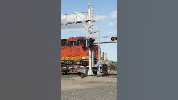 TRAIN SHORTS #00215 / BNSF 8182 WB STACK TRAIN #train #canadiancompany #automobile