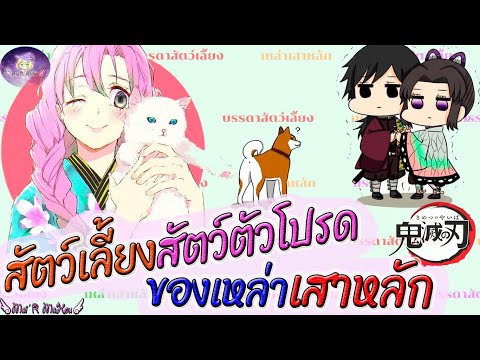 ⭐️เสาหลักกับเหล่า??สัตว์เลี้ยง,สัตว์ตัวโปรด?? ⭐️ดาบพิฆาตอสูร⭐️