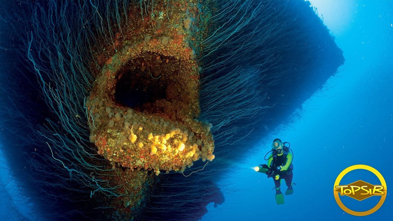 10 สิ่งลึกลับใต้ทะเลที่จะทำให้คุณถึงกับช็อก (จริงดิ)