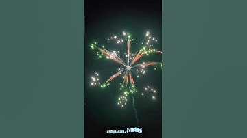 8” Inch 200mm Display Shell super rare effect! #shell #fireworks #vuurwerk
