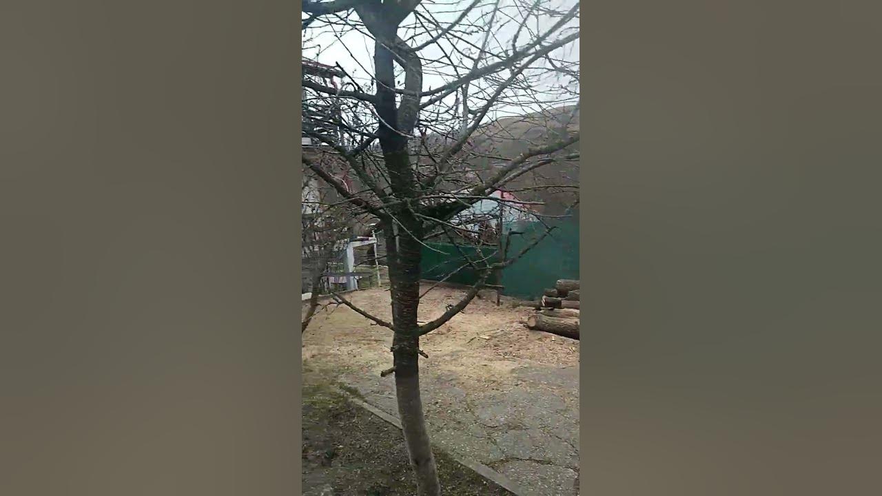 Vremea In Stefanesti Arges Vremea Stefanesti Arges 24-02-2023 - YouTube