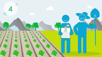 我如何获得GLOBALG.A.P.盖普认证？ Chinese