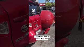 You'd only see this is Texas 🚗 😂        🎥: TikTok / sophfrya