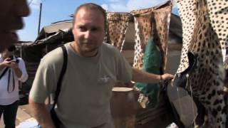 Leopard Documentary - Stop leopard skin trade by offering artificial skins to SA tribes