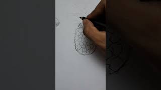 pineapple drawing|how to draw pineapple|pineapple sketch|fruit drawing #youtube #youtubeshorts Pineapple Fruits Drawing Shortsvideo Ytshorts Raazarts Pineappledrawing