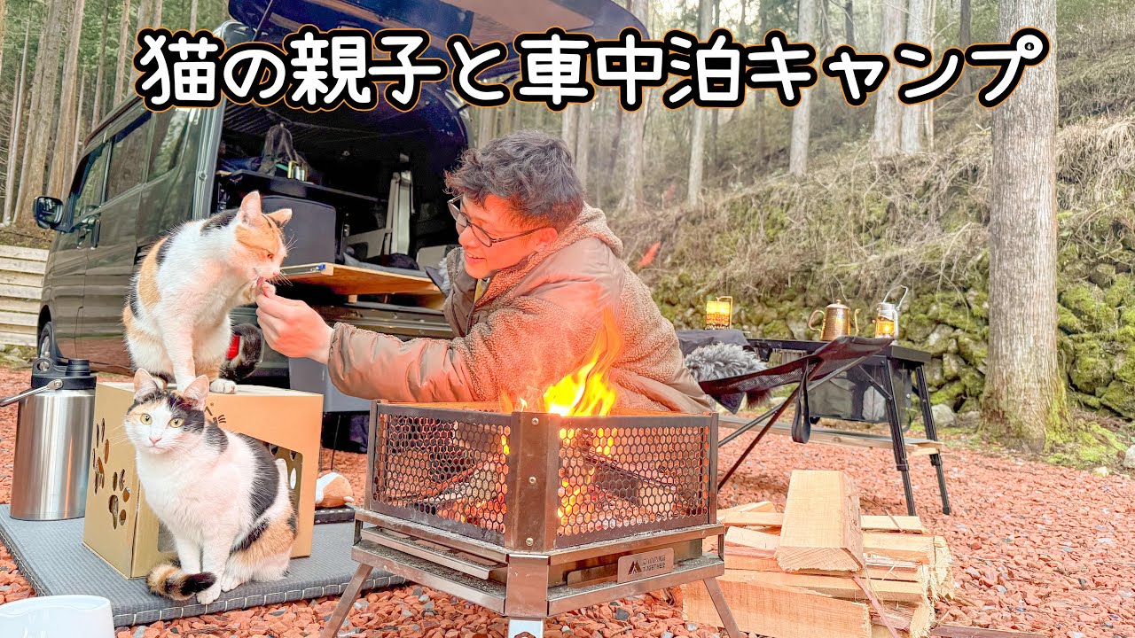 【コラボ】猫アレルギーなのに猫系YouTuberと車中泊キャンプしてたら、夜一緒に寝ることになりました。