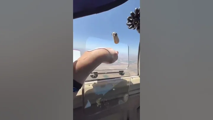 I put My hand out of the plane #shorts