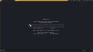 neovim demonstration