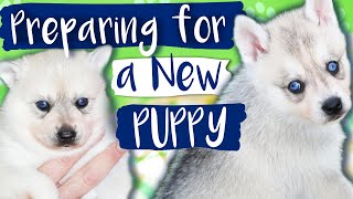 NEW PUPPY ESSENTIALS  How to Prepare For Your New Alaskan Klee Kai Puppy!!