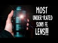 !!!The Best Macro Lens in the WORLD!!! Sony 90mm f2.8 G Lens for VIDEO & PHOTO [REVIEW]