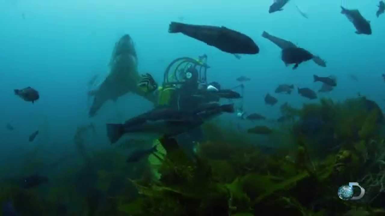 maxresdefault.jpg?sqp=-