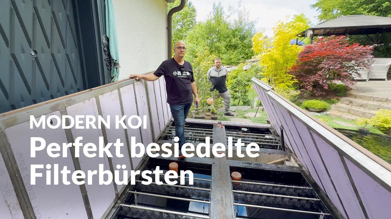 Jessica und Peter Riesenbürstenfilter einige Jahre nach Inbetriebnahme | Modern Koi Blog #7511