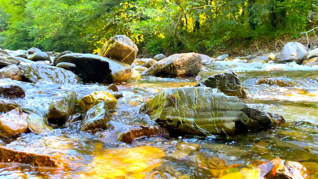 Gentle Sound Of A Mountain River Without Birds. 12 Hours for Sleep, Study and Relaxation. Gentle Sound Of A Mountain River Without Birds. 12 Hours for Sleep, Study and Relaxation.