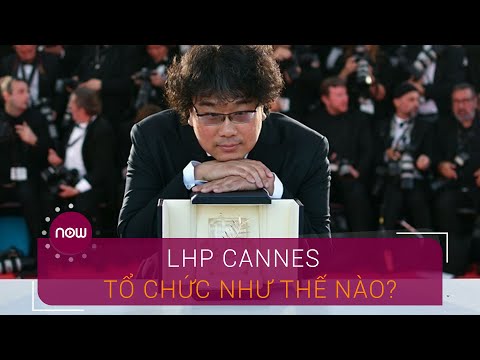 Video: Liên Hoan Phim Cannes Sẽ được Tổ Chức Như Thế Nào