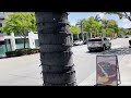 Day In LA Tour - Beverly Hills Palm Tree Lights