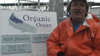 Cause An Effect - World Ocean's Day