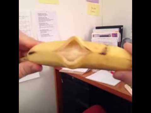 Whitney Houston is BACK!! Banana sings  I Will Always Love You