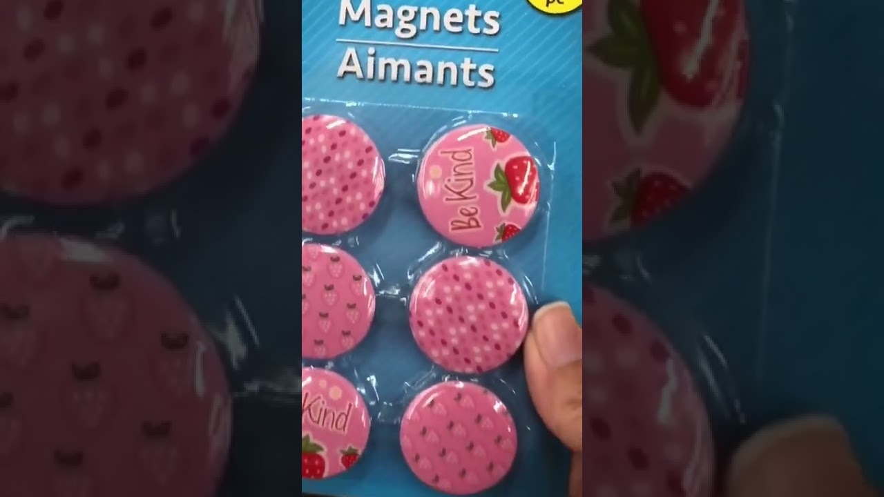 Adorable Locker Accessories At Dollar Tree!