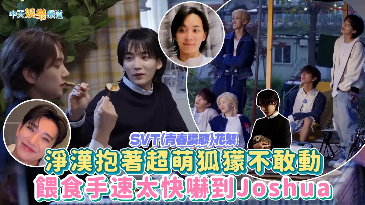 【撩星聞】SVT〈青春讚歌〉花絮  淨漢抱著超萌狐獴不敢動  餵食手速太快嚇到Joshua