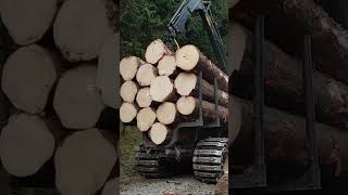 Loading Big Logs With A Loader