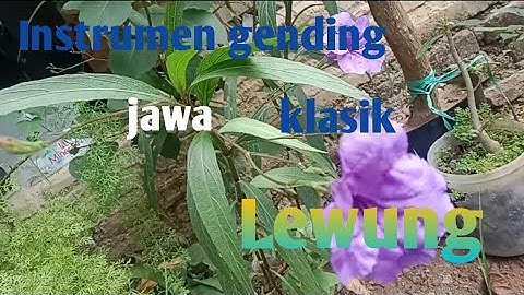Instrumen Gending Jawa Pengantar Tidur dan Penenang Pikiran Part II | Spesial kangen Deso