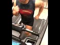 モフモフとムキムキのゴールデンハムスターとマッチョライフでサイドチェスト