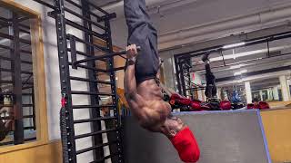 Inverted dips targets chest/arms / shoulders and abs