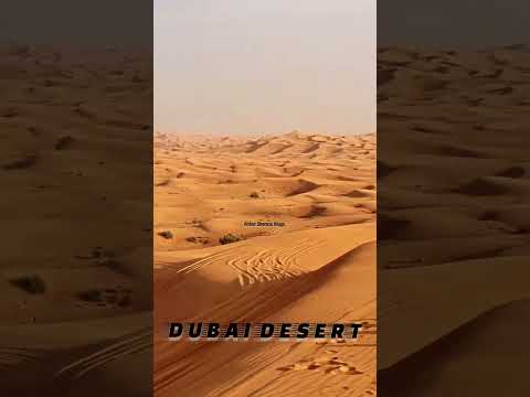 Dubai Desert Evening View || Ankur Sharma Vlogs #shorts #trending #desertsafari #dubai #viralshorts