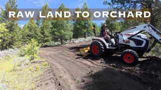 Building My Off Grid Orchard & Preparing the Solar Field