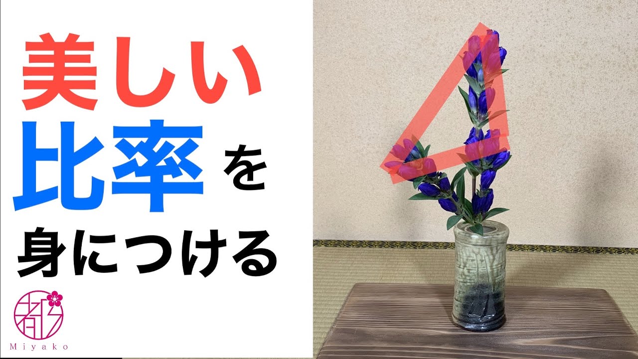 花型にみる美の比率🌸華道基本の「き」🌟花型をよくみると美の比率が