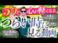 【大丈夫だ】つらい時に見る動画