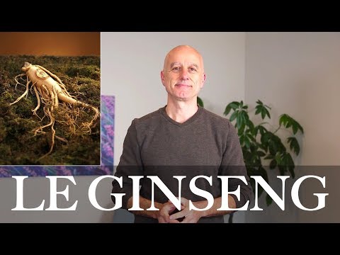 Vidéo: Informations sur le ginseng coréen : la racine de ginseng asiatique est-elle différente du ginseng américain ?