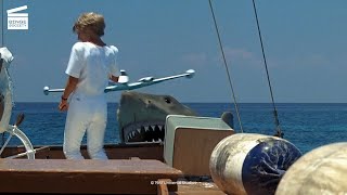 Jaws: The Revenge: Plane landing HD CLIP