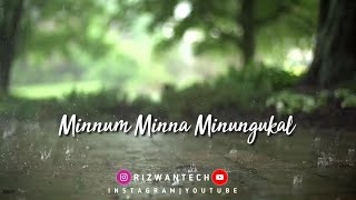 pandepande Pootha Malarukal Minnum Minna Minungukalstatus   S Song By Rizwan Tech