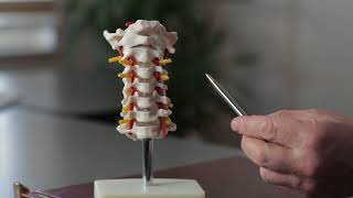 Boyun Fıtığı Sadece Kolda Görülür Mü? - Prof. Dr. Erkan Kaptanoğlu