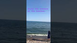Beach life in Toronto #nature#beautiful essence of canada#