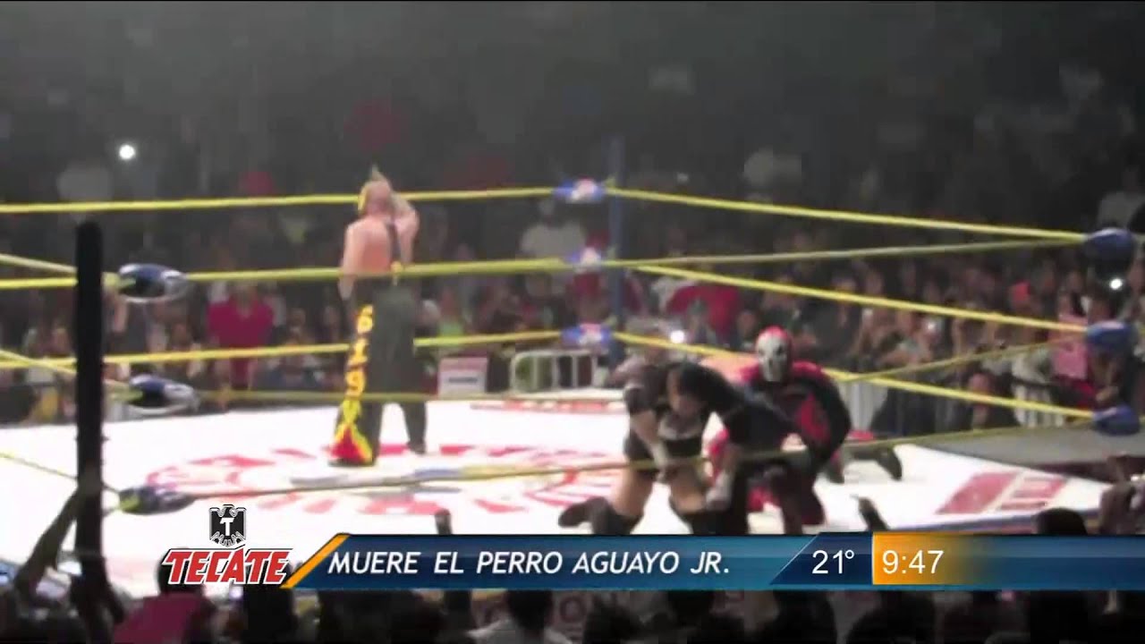 Las Noticias - La muerte del Perro Aguayo Jr. en investigación
