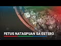 Fetus natagpuan sa Estero de San Lazaro sa Binondo | ABS-CBN News