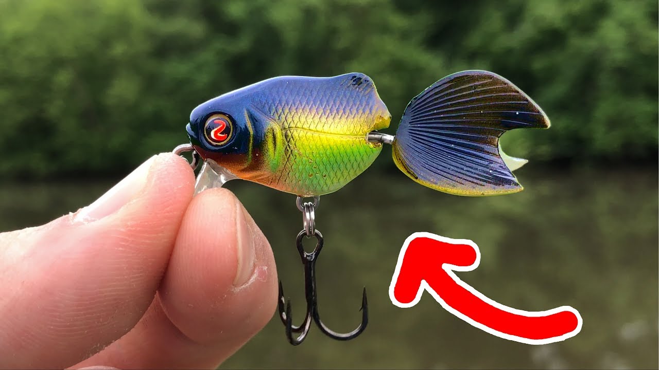 Tiny GOLDFISH Crankbait = BIG Bass!!! (I Thought I was SNAGGED!) Tiny GOLDFISH Crankbait = BIG Bass!!! (I Thought I was SNAGGED!)