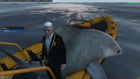 Hướng dẫn nghề câu cá The New Day City | GTA5 Roleplay