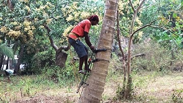 Coconut Tree Climbing Machine