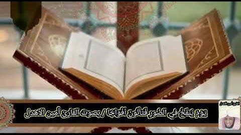 قبس من سورة النبأ للقارئ ( أمين الأهدل ) الجزء الأول