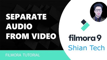 How to Remove Audio, Separate Audio from Video in Filmora x Video Editor